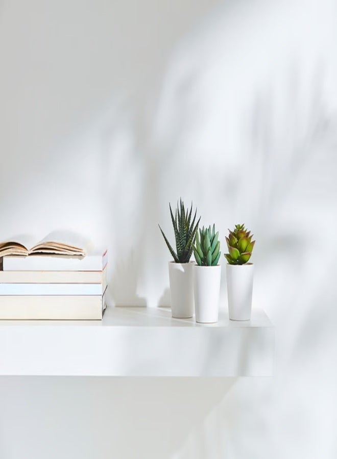 فيجكا مجموعة من 3 نباتات فيجكا الاصطناعية في أصص - Image 2