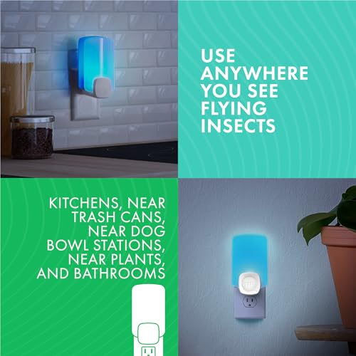 STEM Light Trap Refill Cartridges, Indoor Fruit Fly Trap, Effective Insect Control for Home, Attracts and Traps Flying Insects, Compatible With STEM Light Trap, 2 Count - Image 2