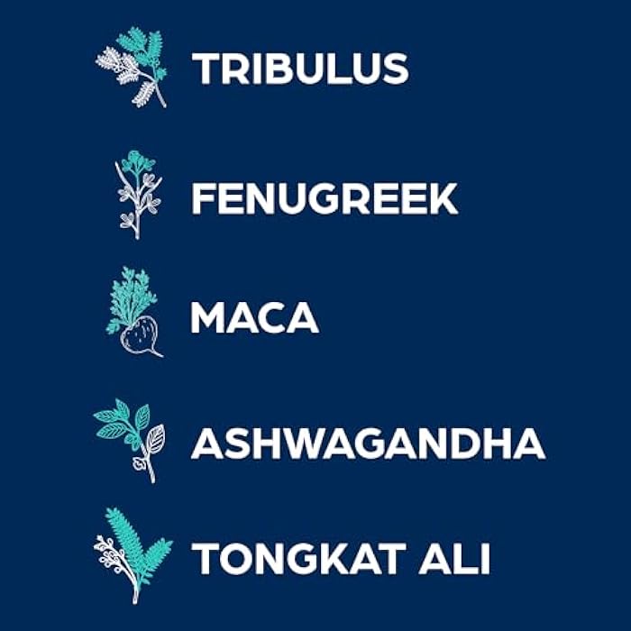 PS Natural Testosterone Booster for Men - Premium D3 and Zinc Supplements for Men with Tribulus, Horny Goat Weed, and Tongkat Ali - Test Booster and Energy Supplements (60 Capsules) - Image 3