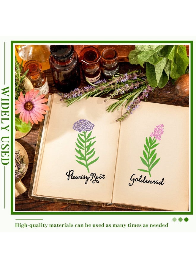 Jecery 20 Pcs Herb Stencils For Painting Reusable Kitchen Garden Stencils Plastic Plant Stencils For Crafts Painting Art Stencils For Diy Scrapbook Wall Floor Home Decor - Image 4