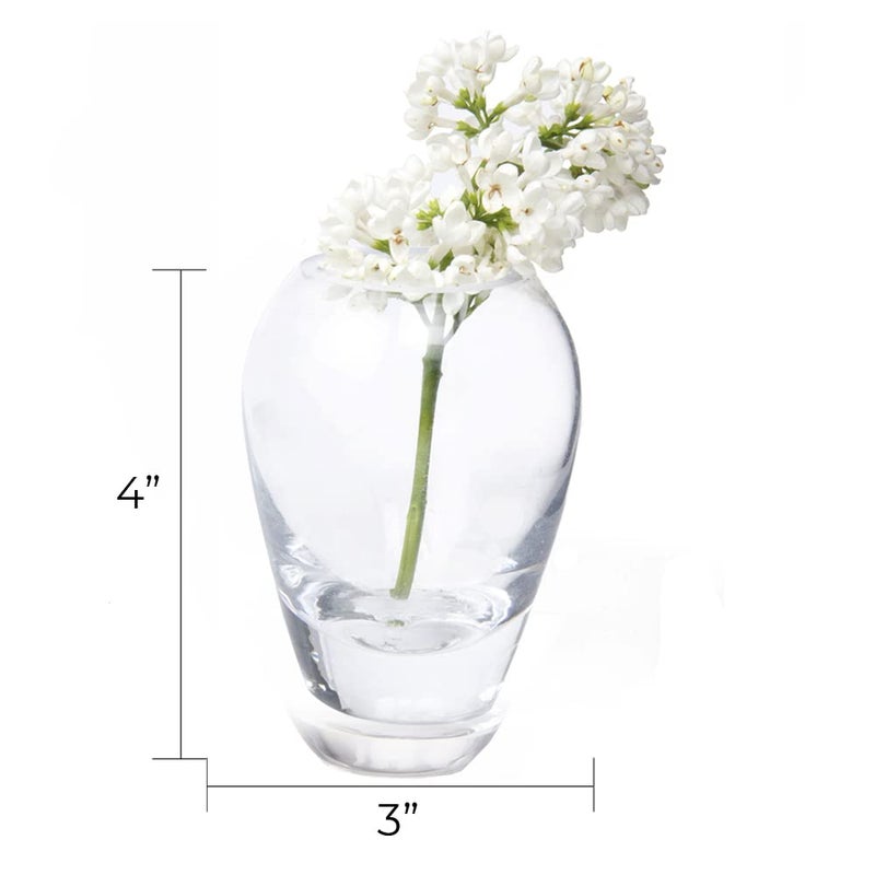 CHIVE â€˜Georgeâ€™ Glass Bottle Flower Vases â€” Set of 6 â€” Small, Elegant Clear Glass Bud Vases â€” Bulk Pack for Home Decor & Table Centerpieces â€” Shape 1 (Oval, 4â€ Tall, 3â€ Wide) - Image 3