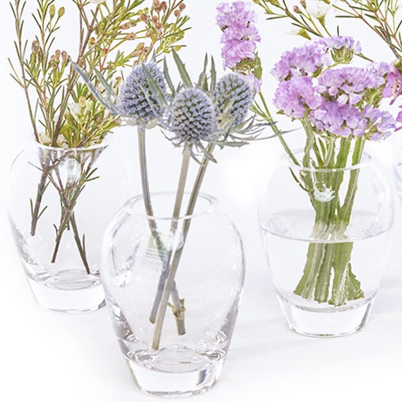 CHIVE â€˜Georgeâ€™ Glass Bottle Flower Vases â€” Set of 6 â€” Small, Elegant Clear Glass Bud Vases â€” Bulk Pack for Home Decor & Table Centerpieces â€” Shape 1 (Oval, 4â€ Tall, 3â€ Wide) - Image 2