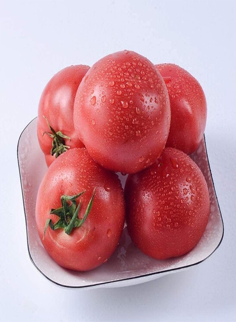 GGOOT 50Pcs Tomato Seeds for Outdoor Gardening Planting Berry Flat Balls Bright Red Fruits Green Vegetables Family Special Flavor - Image 2