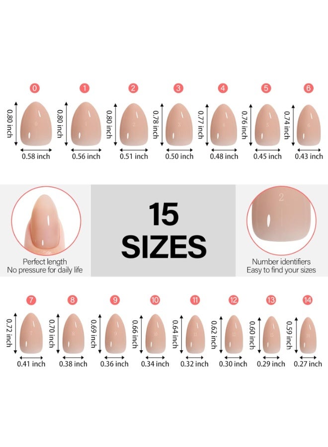 AILLSA RealFit Nude Tone Mixed Color Press On Nails Short Almond - 4 in 1 False Nail Tips Set Long Lasting Nail Extensions For Nail Art DIY 150 PCS - Image 4