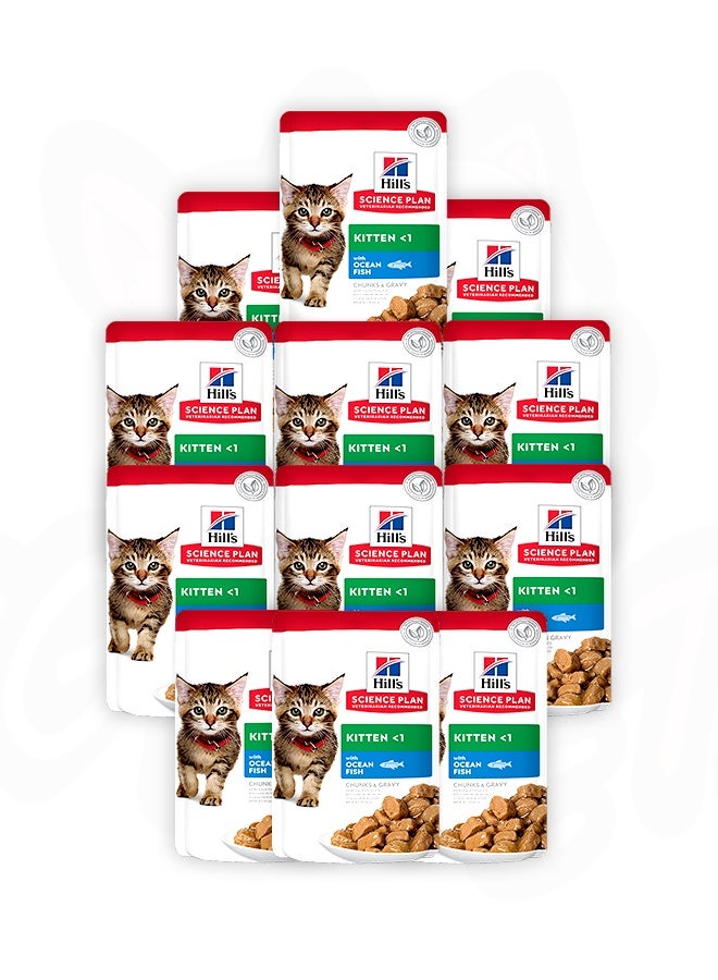 Hills Kitten With Ocean Fish Gravy Wet Food - 85G (Pack Of 12) - Image 1