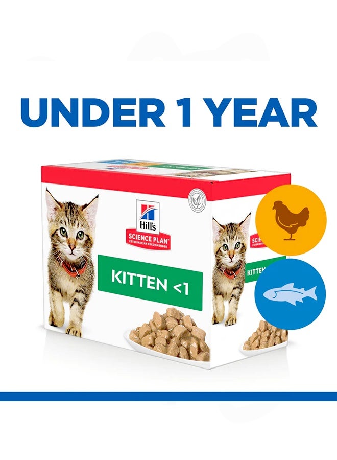 Hills Kitten With Ocean Fish Gravy Wet Food - 85G (Pack Of 12) - Image 4