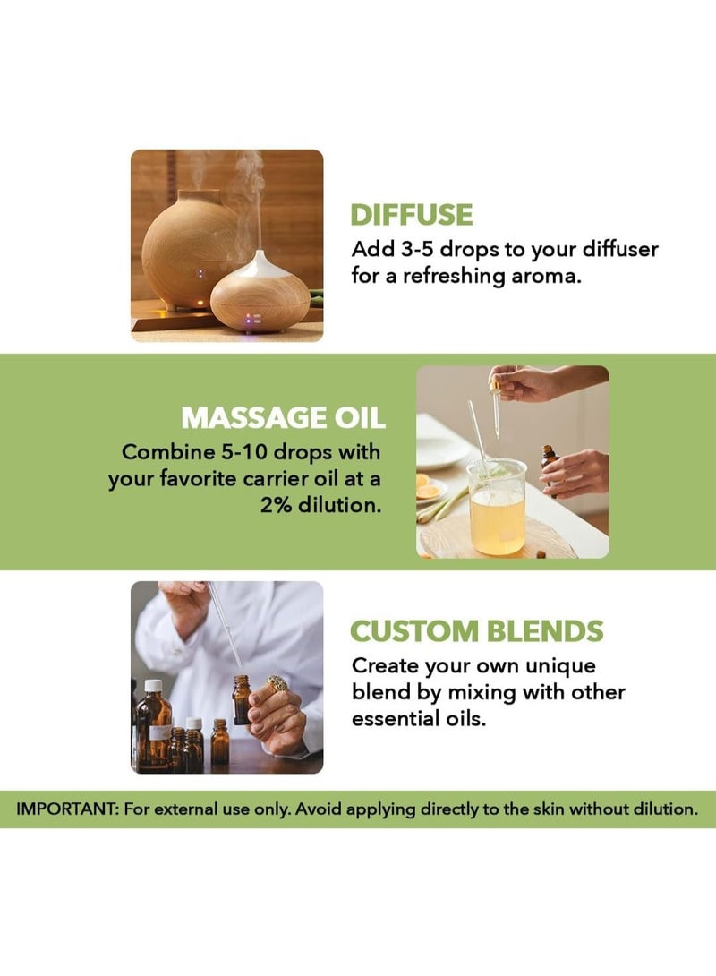 Majestic Pure زيت النعناع العطري مع قطارة زجاجية - 2 أونصة سائلة - 100% زيت نعناع نقي وطبيعي - زيوت عطرية من الدرجة الممتازة للناشر، العلاج بالروائح، صناعة الصابون والشمع - Image 3