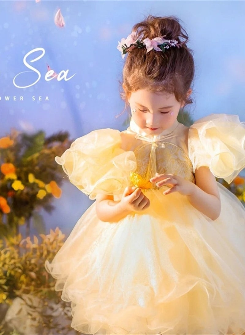 Children's dress, princess dress, flower girl wedding dress, small host piano performance dress costume - Image 5
