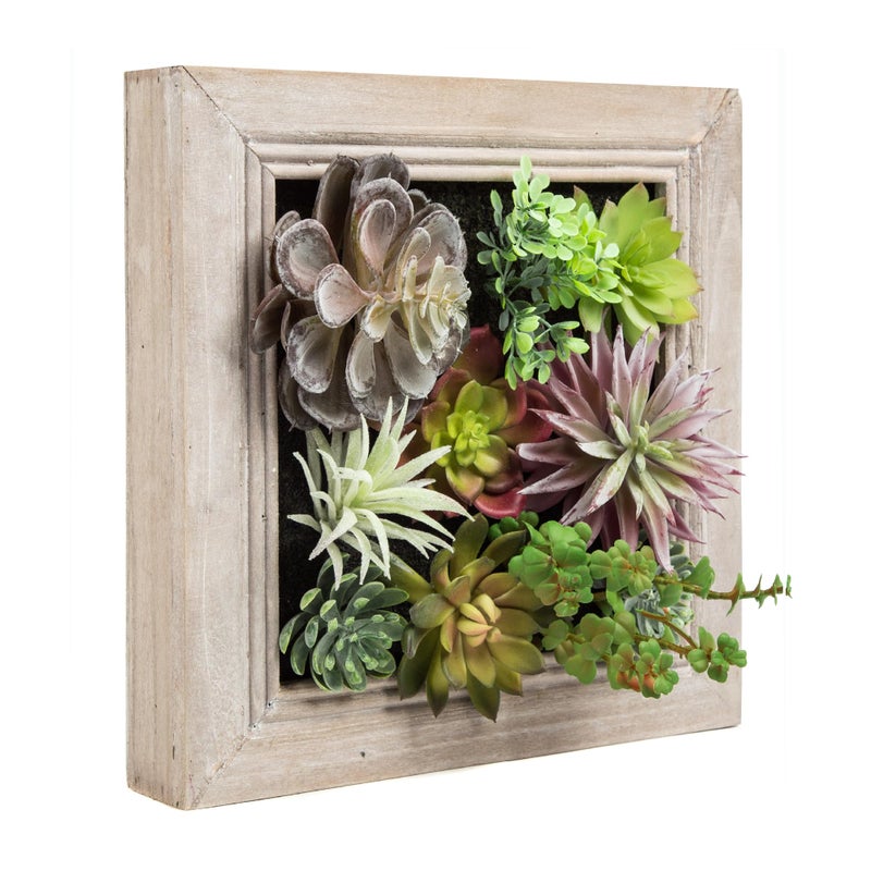 Nattol Nattol Artificial 3D Wall Hanging Plants in Solid Wooden Frames  Decorative Wall Art  Artificial Succulent Plants Flowers  Faux Greenery for Home 