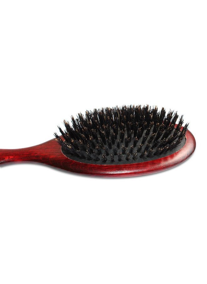 Mars Coat King Professional Grooming Brush for Dog and Cats. (9", Maxi Pin Boar) - pzsku/ZEFD438EDAFAC51F9E392Z/45/_/1737032167/a39fda68-ab9c-4af5-94c5-a7f05b365eaf