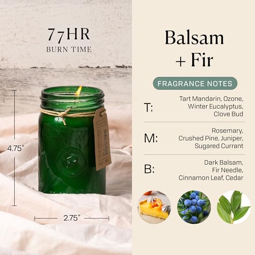 Paddywax Scented Candles Relish Collection Soy Wax Artisan Candle in Glass Jar with Lid, 9.5-Ounce, Balsam + Fir - Image 3