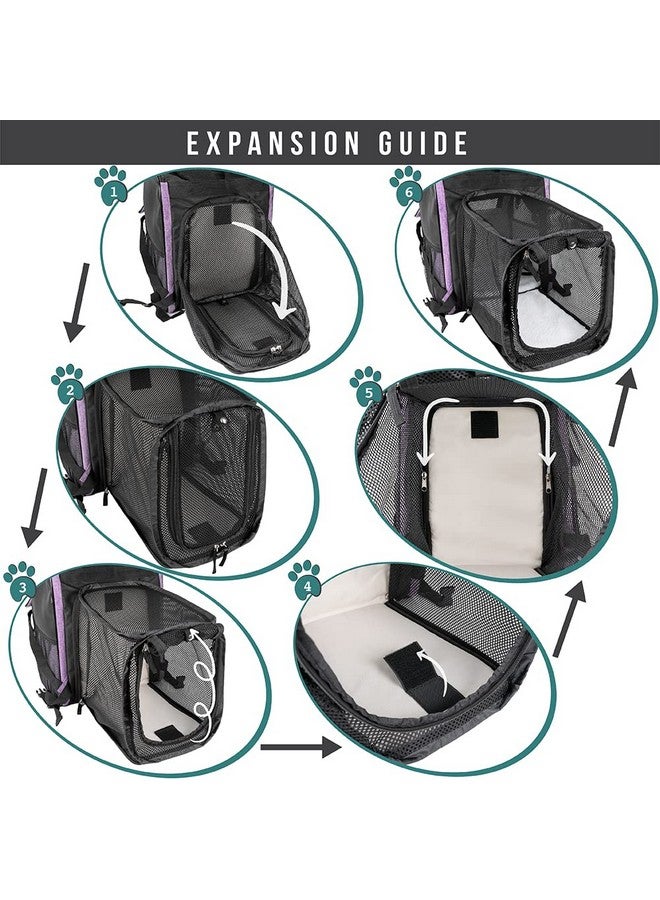 PetAmi Dog Cat Backpack Carrier, Expandable Pet Carrier Backpack For Travel Hiking, Small Medium Dog Puppy Large Cat Carrying Backpack, Airline Approved Ventilated Soft Back Support, 18 Lbs, Purple - Image 3