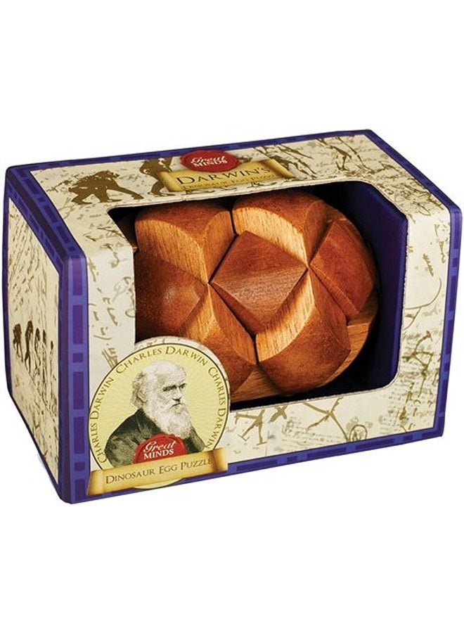 Darwins Egg Of Evolution Puzzle