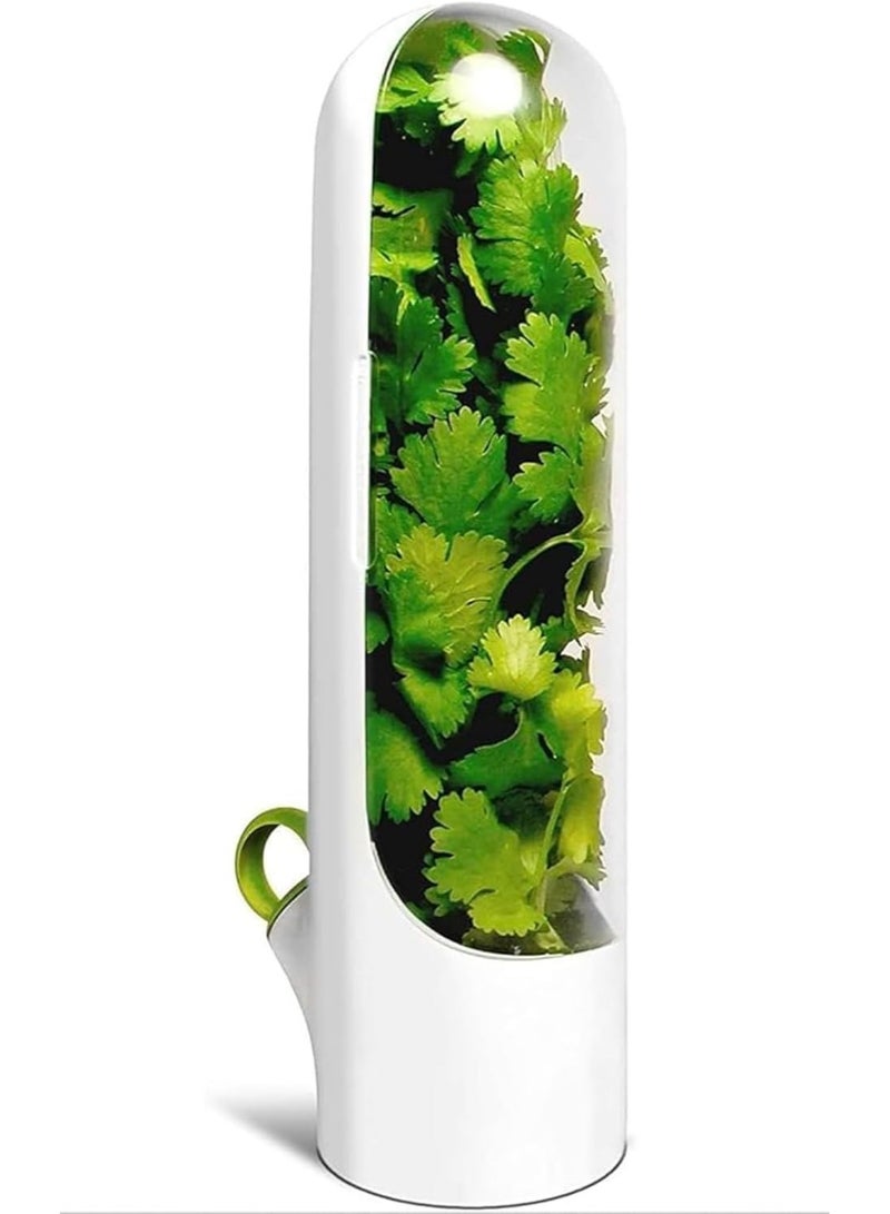 Generic Large Fresh Herb Keeper Container – Transparent Lid Storage Jar for Cilantro, Parsley, Mint & Leafy Greens – Moisture-Lock Design to Keep Herbs Fresh Longer – Ideal for Refrigerator Organization – Multicolor - Image 1
