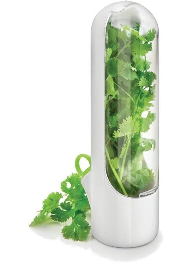 Generic Large Fresh Herb Keeper Container – Transparent Lid Storage Jar for Cilantro, Parsley, Mint & Leafy Greens – Moisture-Lock Design to Keep Herbs Fresh Longer – Ideal for Refrigerator Organization – Multicolor - Image 2