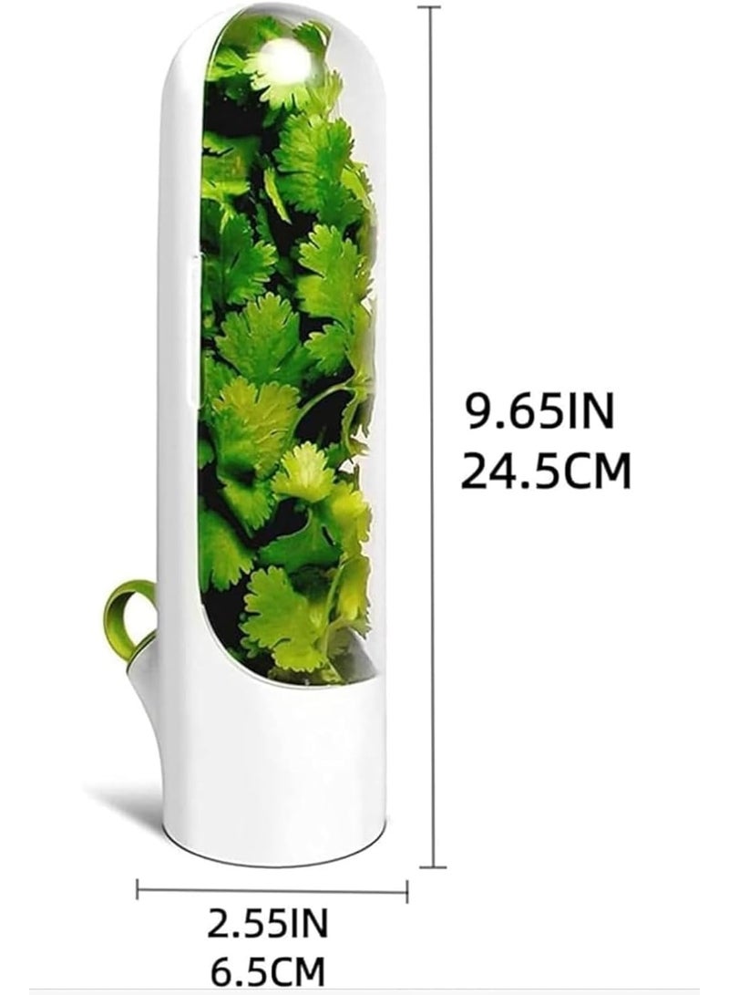 Generic Large Fresh Herb Keeper Container – Transparent Lid Storage Jar for Cilantro, Parsley, Mint & Leafy Greens – Moisture-Lock Design to Keep Herbs Fresh Longer – Ideal for Refrigerator Organization – Multicolor - Image 3
