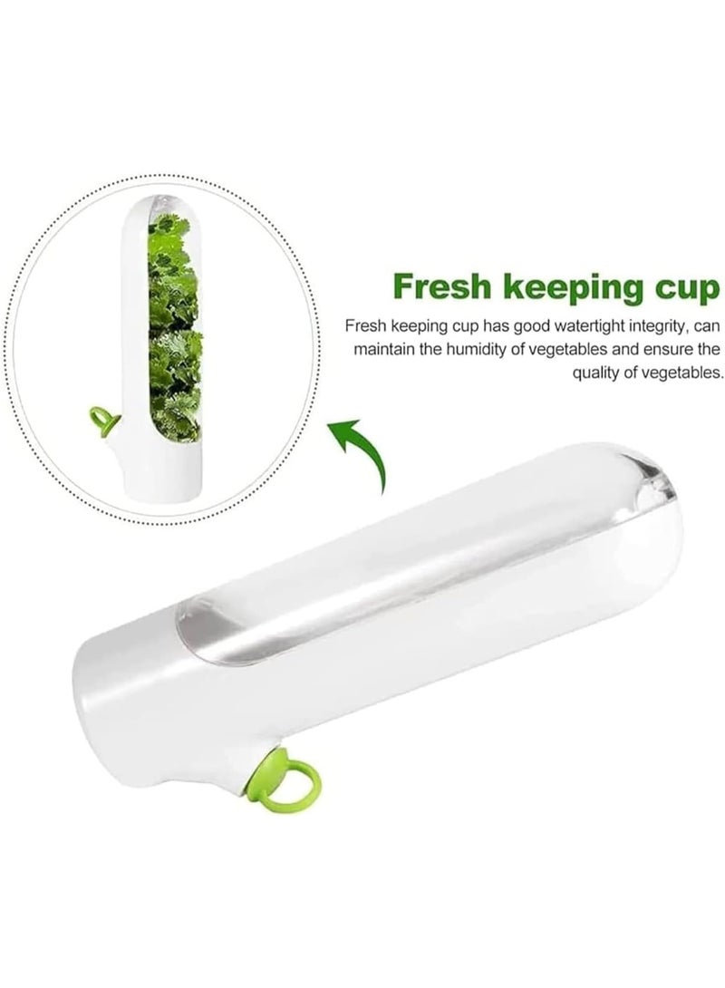 Generic Large Fresh Herb Keeper Container – Transparent Lid Storage Jar for Cilantro, Parsley, Mint & Leafy Greens – Moisture-Lock Design to Keep Herbs Fresh Longer – Ideal for Refrigerator Organization – Multicolor - Image 4