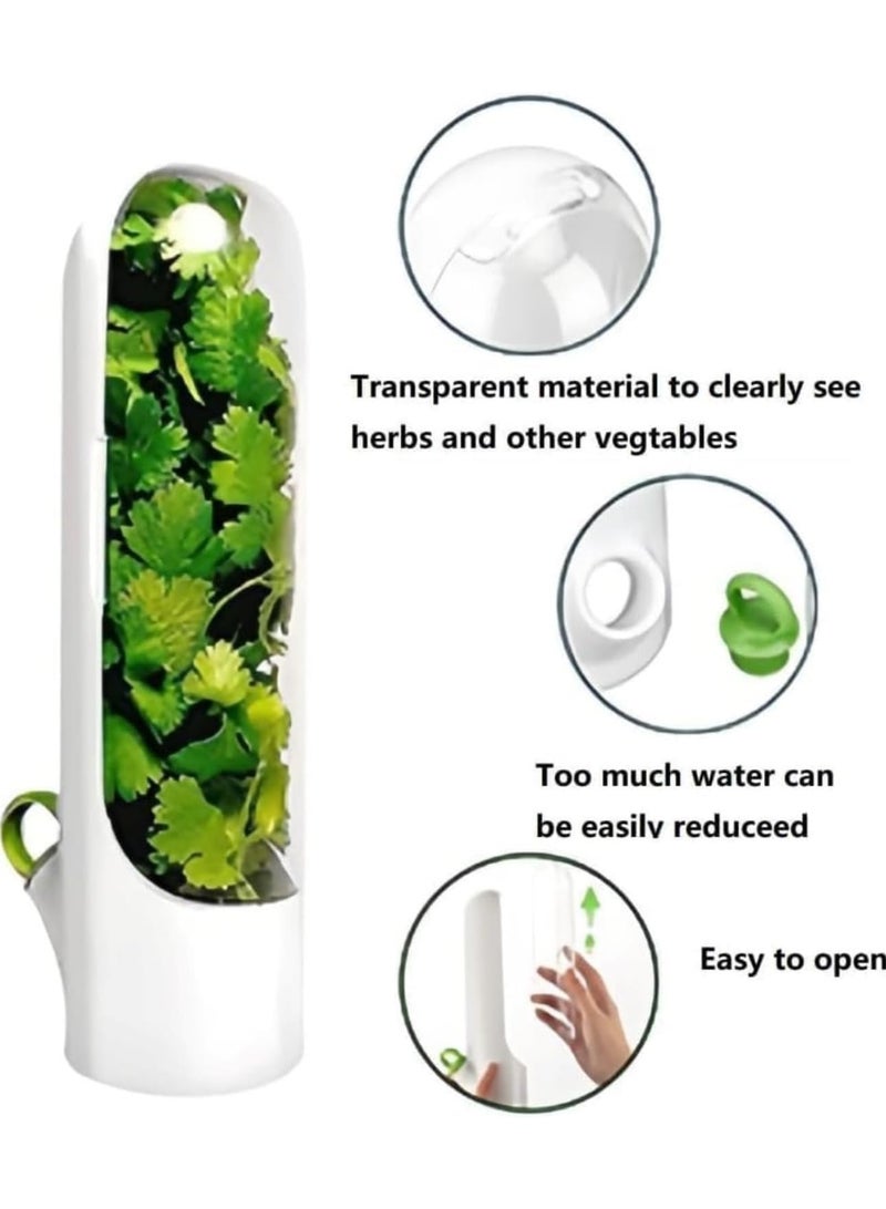 Generic Large Fresh Herb Keeper Container – Transparent Lid Storage Jar for Cilantro, Parsley, Mint & Leafy Greens – Moisture-Lock Design to Keep Herbs Fresh Longer – Ideal for Refrigerator Organization – Multicolor - Image 5