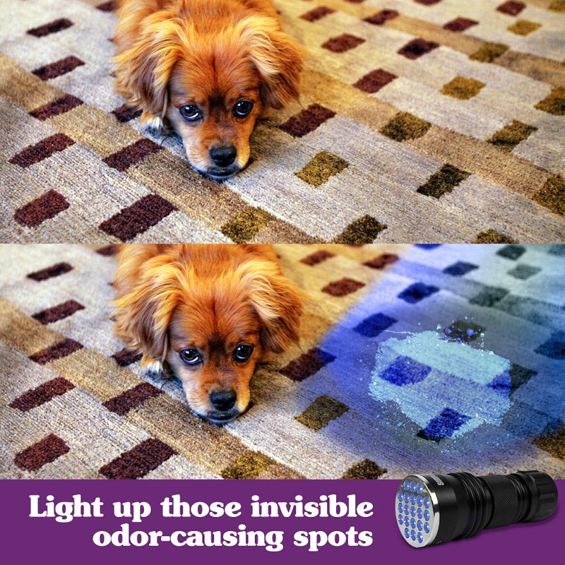 Simple Solution Spot Spotter HD UV LED Urine Detector - Spot and Eliminate Pet Urine Stains and Odors - 1 Light - Image 2