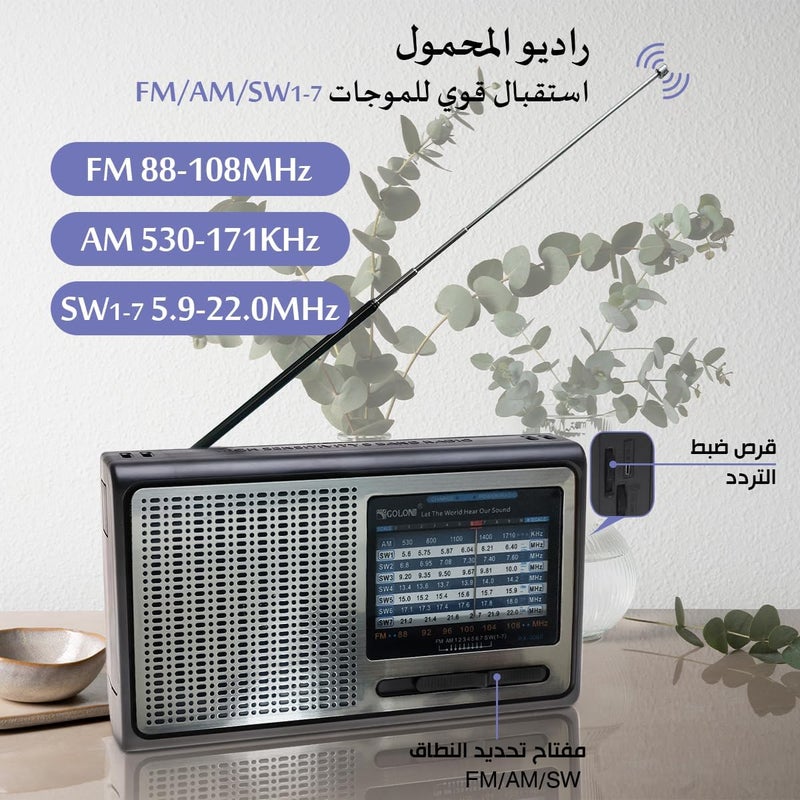 راديو اف ام/ايه ام/اس دبليو محمول مزود بـ 9 نطاقات عالي الحساسية مع مكبر صوت وبطارية قابلة لإعادة الشحن وقضيب هوائي راديو ار او دي ومؤشر الطاقة/الراديو، RX-3060 (فضي) - Image 3