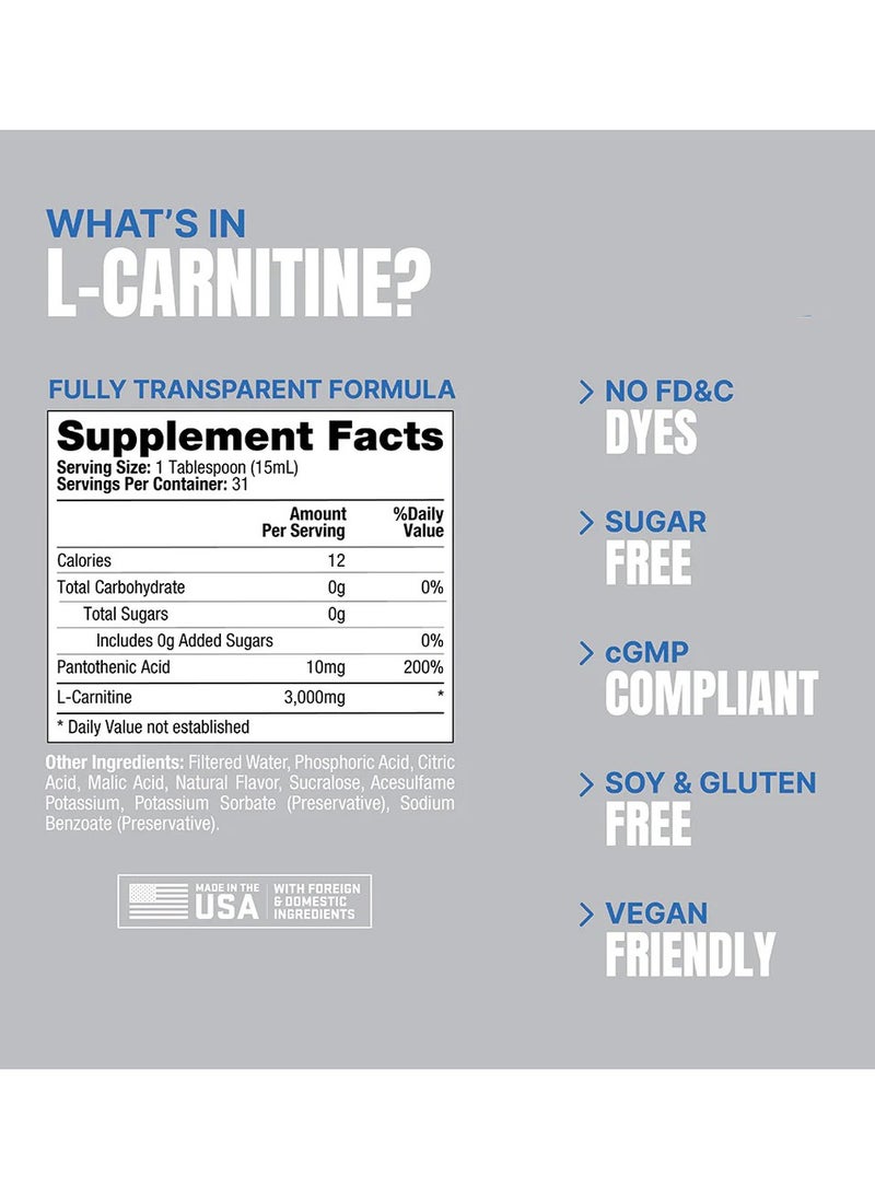 L-Carnitine 3000 Liquid Shots - Berry - (473 ml) - pzsku/ZEFDF37564DA7F596D25FZ/45/_/1710585106/81341cbd-e879-4aeb-9d2a-d5c1e7edb645