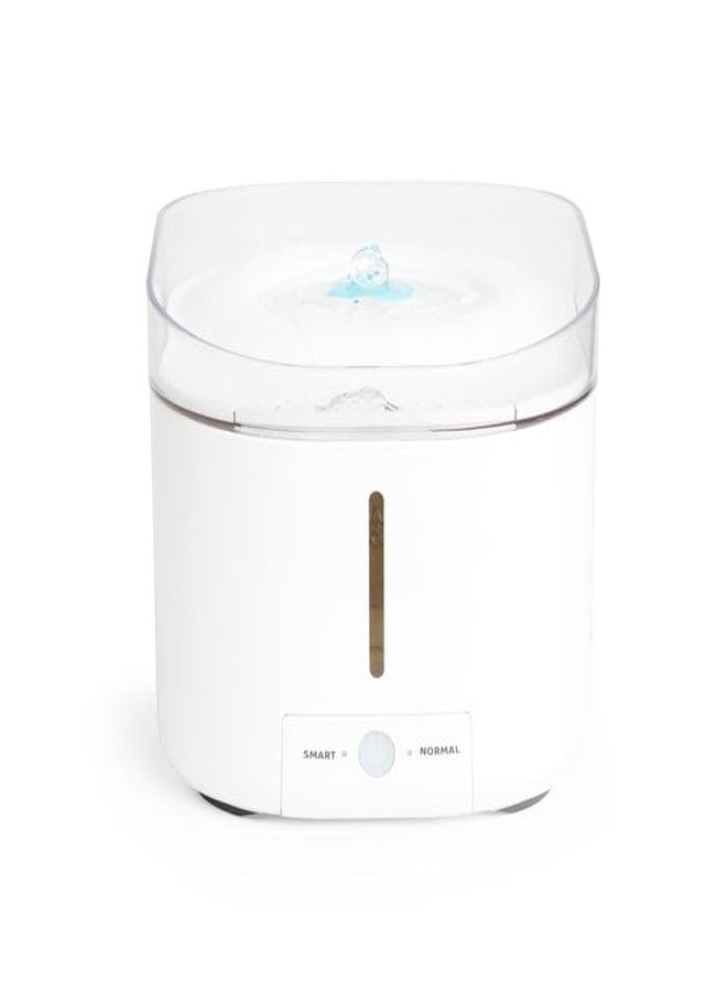 EveryYay Get Fresh Self-Cleaning Fountain for Cats 12.5 Cups - Image 3