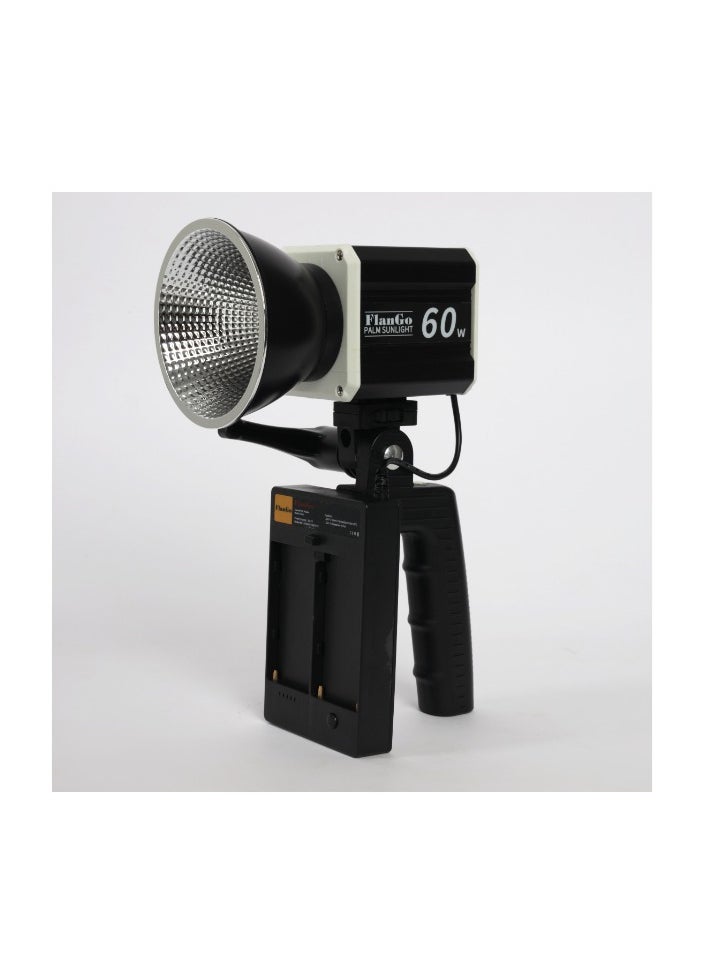  فلانجو FlanGo 60w Palm Sunlight RGB  - Image 1