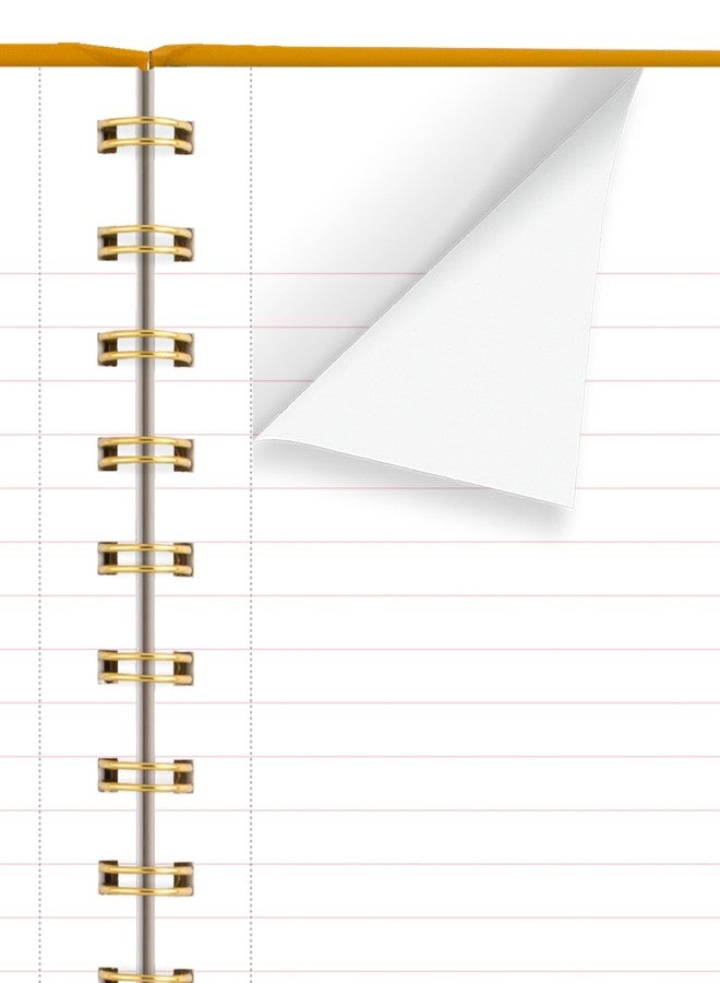 كامبريدج دفتر ملاحظات كامبريدج Pen+Pillar، عبوة من قطعتين، ورق مسطر قانوني، 5-3/4 بوصة × 8-1/4 بوصة، 80 ورقة، غلاف مقوى، بنقشة زهور وفراشات (PP12P-402) - Image 4