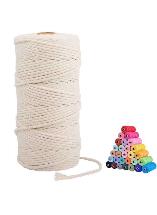 FLIPPED Macrame Cord,3mm x109 Yards 100% Natural Macrame Cords Colored Cotton Macrame Rope Craft Cord for DIY Crafts Knitting Plant Hangers Christmas Wedding Decor(Natural Color/Beige) - Image 1