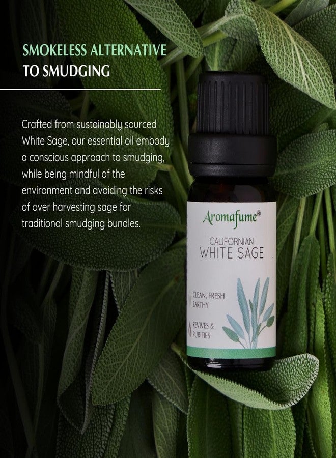 Aromafume White Sage, Sage & Lavender & Palo Santo Essential Oil Diffuser Blend by Aromafume | 3 x 10ml | Essential Oil Blend | Smoke-Free, Non Toxic Alternative to Smudging - Image 3