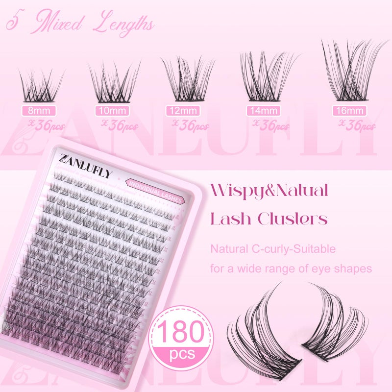 zanlufly Lash CLusters Wispy Eyelash Clusters Natural Lash Extensions C-Curly zanlufly Individual Lashes DIY Eyelash Extensions at Home Mix Length Cluster Lashes (180Pcs,8-16MM) - Image 2