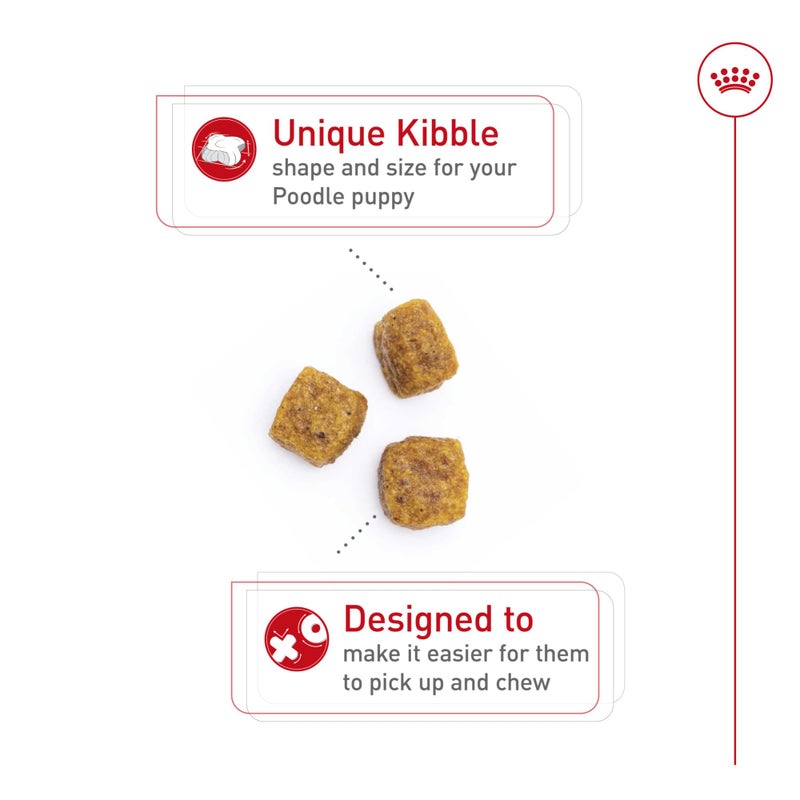 ROYAL CANIN طعام جاف للكلاب من رويال كانين مخصص لجرو الكلاب من سلالة البودل، 2.5 رطل - Image 2