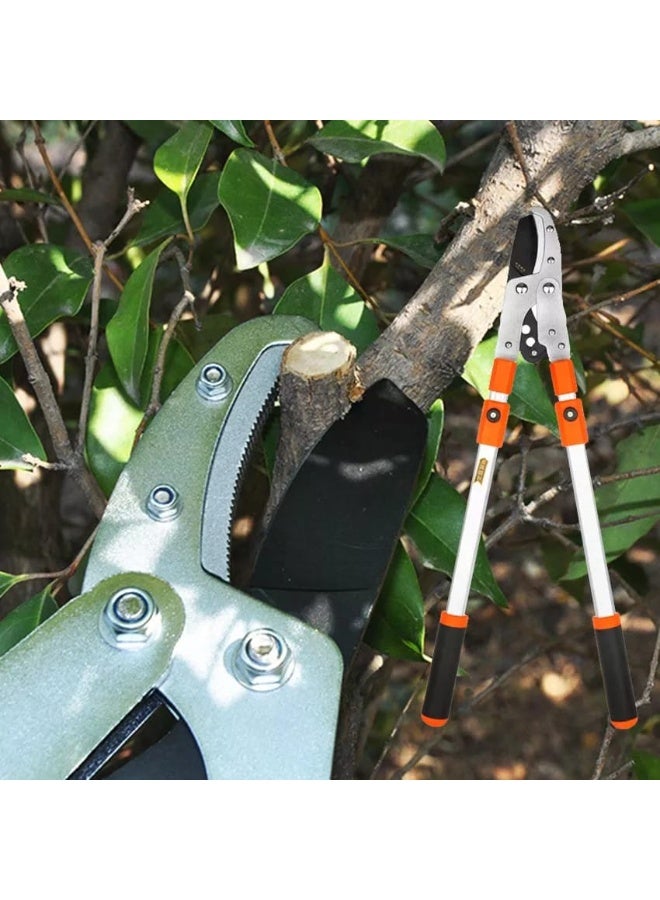 Kurtzy Heavy-Duty Telescopic Garden Lopper with 50mm Cutting Capacity - Extendable Tree Branch Cutter with Sharp Bypass Blade and Ergonomic Non-Slip Handles - Professional Manual Pruning Tool - Image 2