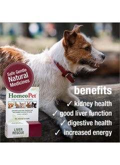 Liver Rescue, Safe And Natural Liver Support For Pets, Pet Supplement For Liver Support, 15 Milliliters - pzsku/ZEFE3E405D8FF219711E1Z/45/_/1726221391/c94a6eed-f086-4ce7-bbff-777161421358