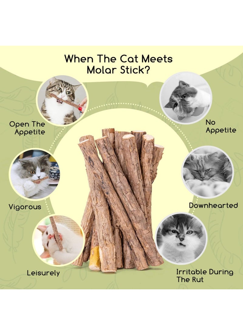 Mumoo Bear Natural Matatabi Chew Sticks for Cats 15g - Image 4