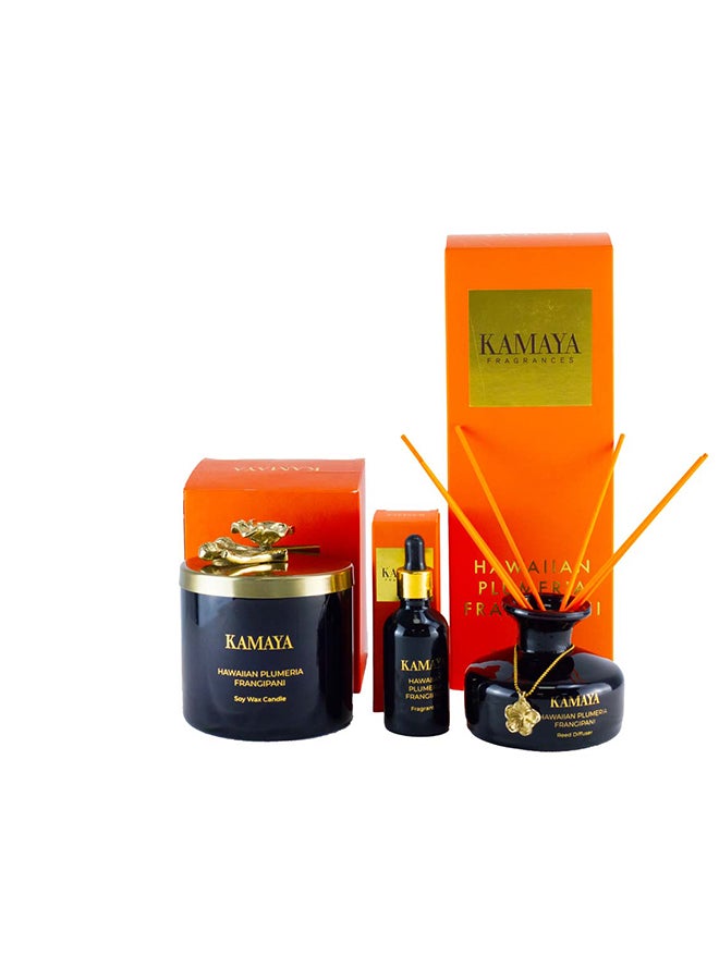 KAMAYA 3 wick scented jar Soy wax candle with Handmade lid with a metal motif -400 gms | Floral frangipani fragrance | In a beautiful bright color gift box | Perfect for gifting on occasions - Image 3