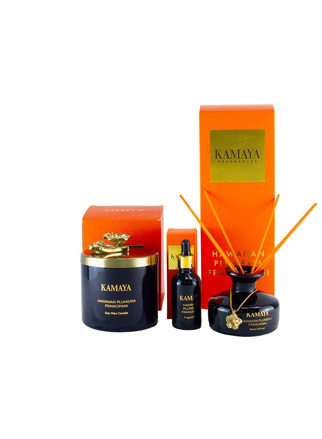 KAMAYA 3 wick scented jar Soy wax candle with Handmade lid with a metal motif from Blossom Caboodle -400 gms | Floral frangipani fragrance | In a beautiful bright color gift box | Perfect for gifting on occasions - Image 4