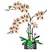 TNDCKP Orchid Flowers Building Block Sets Compatible with Lego 853792 Accessory Artificial Plant Botanical Collection for Home Kitchen Desk Decor Best Gift for Mom Kids 4White 736Pcs - Image 2