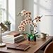 TNDCKP Orchid Flowers Building Block Sets Compatible with Lego 853792 Accessory Artificial Plant Botanical Collection for Home Kitchen Desk Decor Best Gift for Mom Kids 4White 736Pcs - Image 4