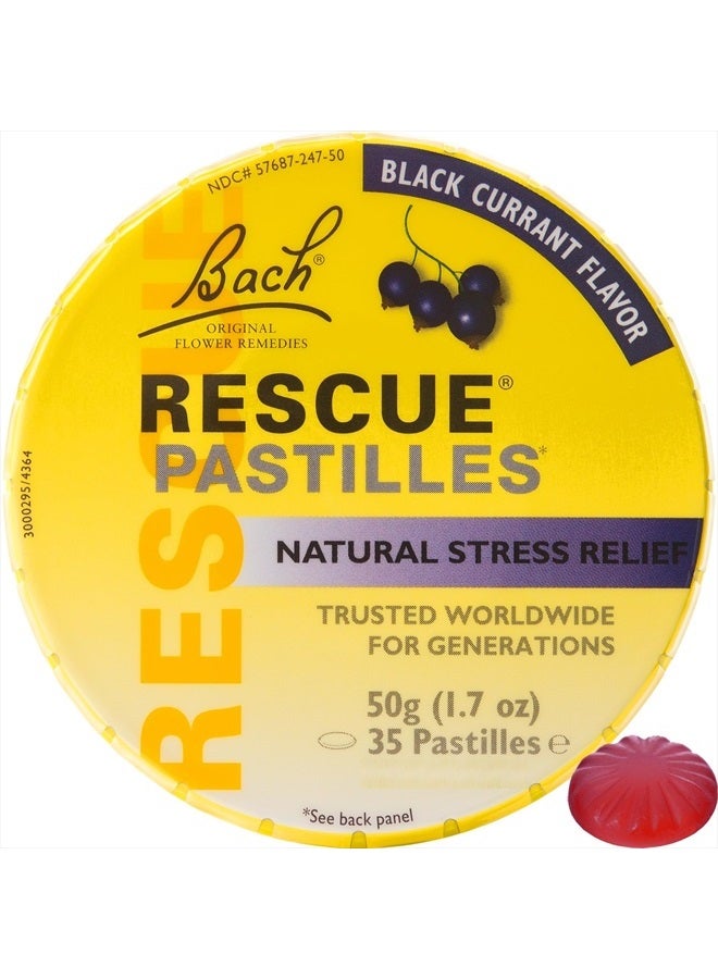 Bach Rescue Remedy Pastilles Black Currant, 1.7 oz (2 Pack)  - Image 1