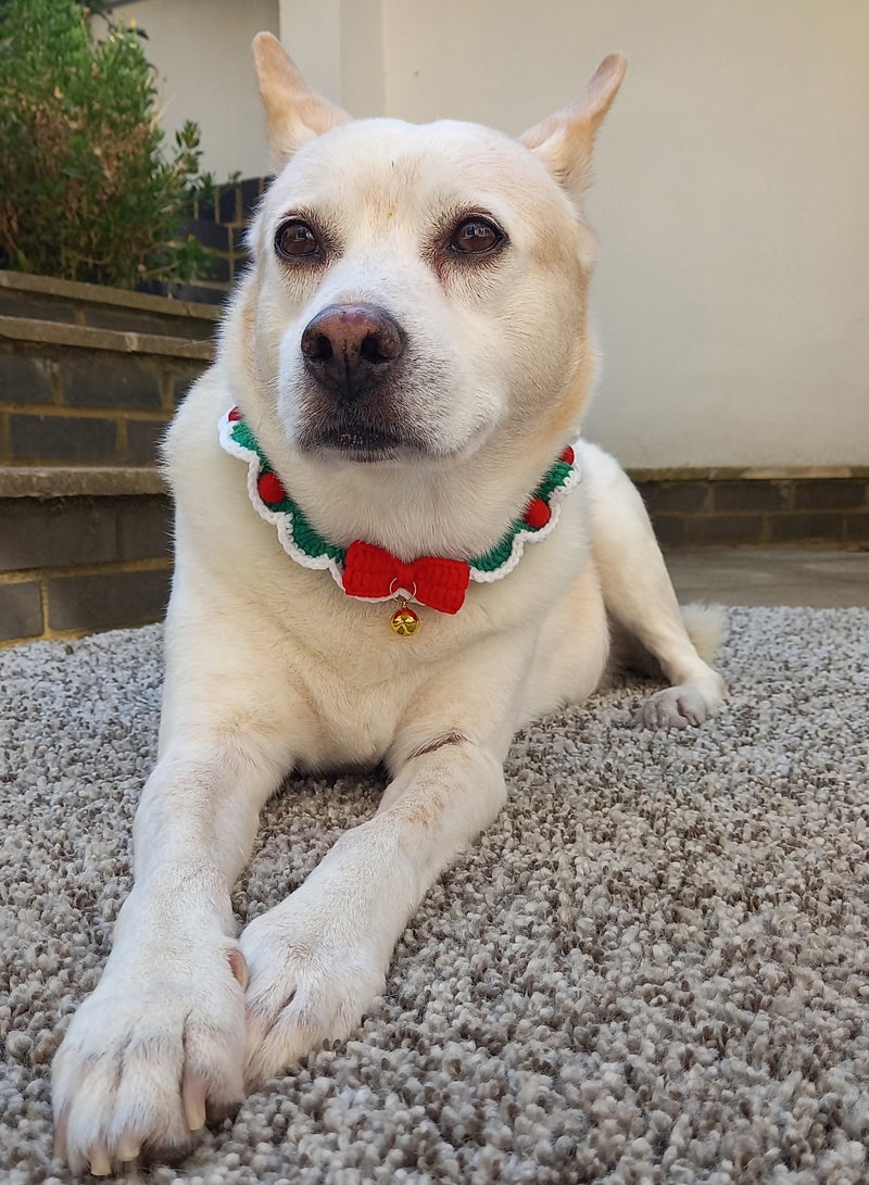 توكينج تيبلز طوق قطط كروشيه نباتي - Image 4