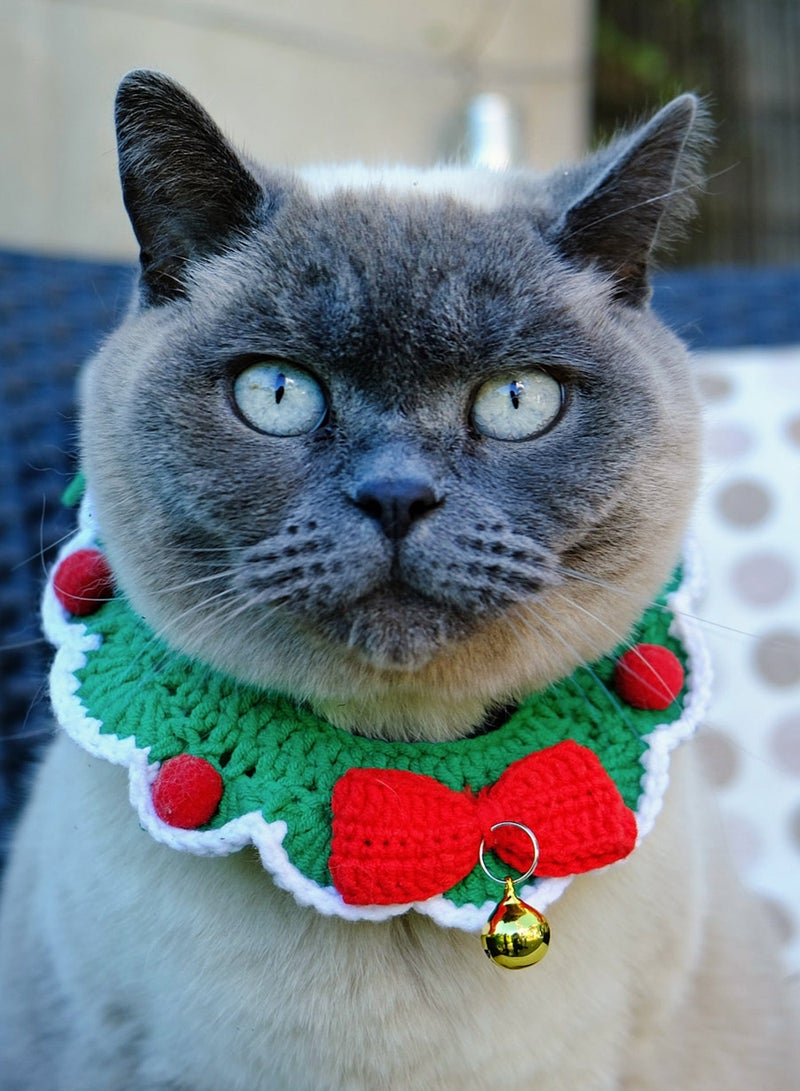 توكينج تيبلز طوق قطط كروشيه نباتي - Image 1