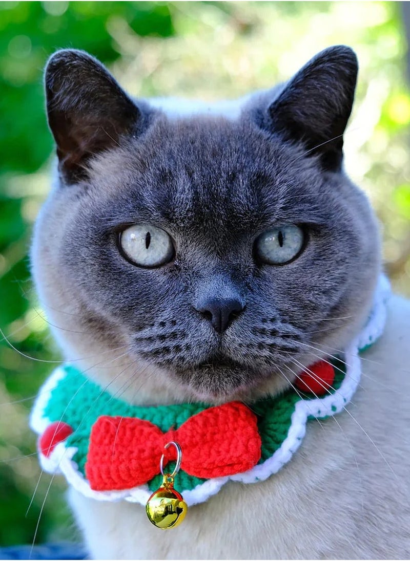 Talking Tables - Botanical Pet Crochet Cat Collar - Image 1