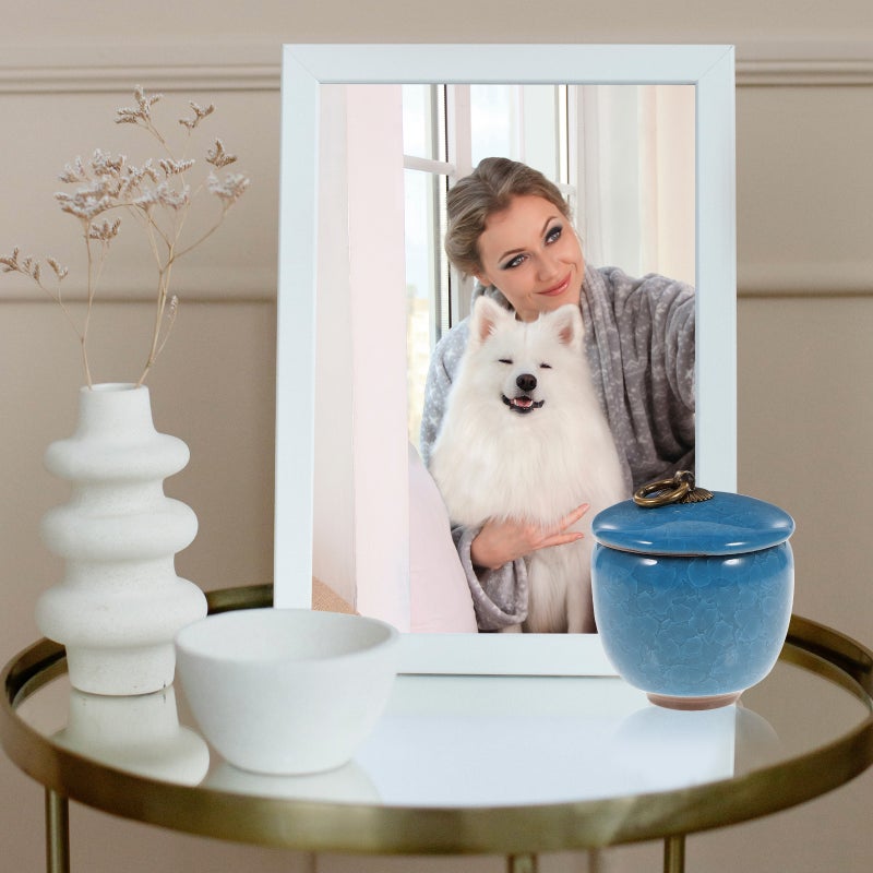 Sealed Pet Cinerary Casket Pet Cremation Ash Jar Ceramic Pet Ashes Holder - Image 1