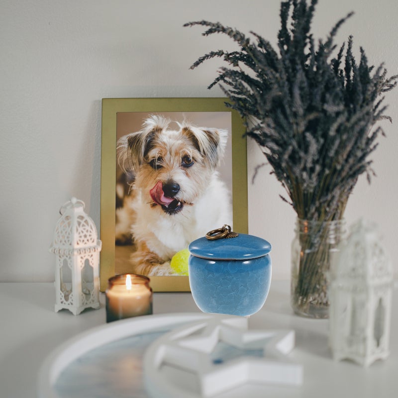 Sealed Pet Cinerary Casket Pet Cremation Ash Jar Ceramic Pet Ashes Holder - Image 5