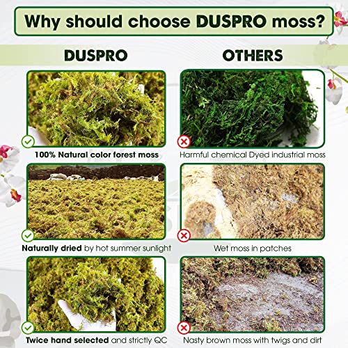 DUSPRO Dried Moss for Potted Plants, Forest Orchid Moss for Potting Mix, Sphagnum Potting Moss for Plants Indoor, Real Moss Soil Cover for Houseplant (5 OZ) - Image 3