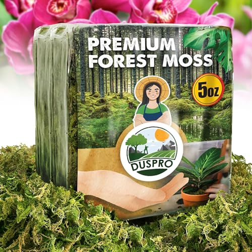 DUSPRO Dried Moss for Potted Plants, Forest Orchid Moss for Potting Mix, Sphagnum Potting Moss for Plants Indoor, Real Moss Soil Cover for Houseplant (5 OZ) - Image 1