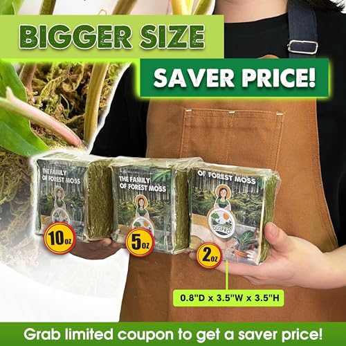 DUSPRO Dried Moss for Potted Plants, Forest Orchid Moss for Potting Mix, Sphagnum Potting Moss for Plants Indoor, Real Moss Soil Cover for Houseplant (5 OZ) - Image 4