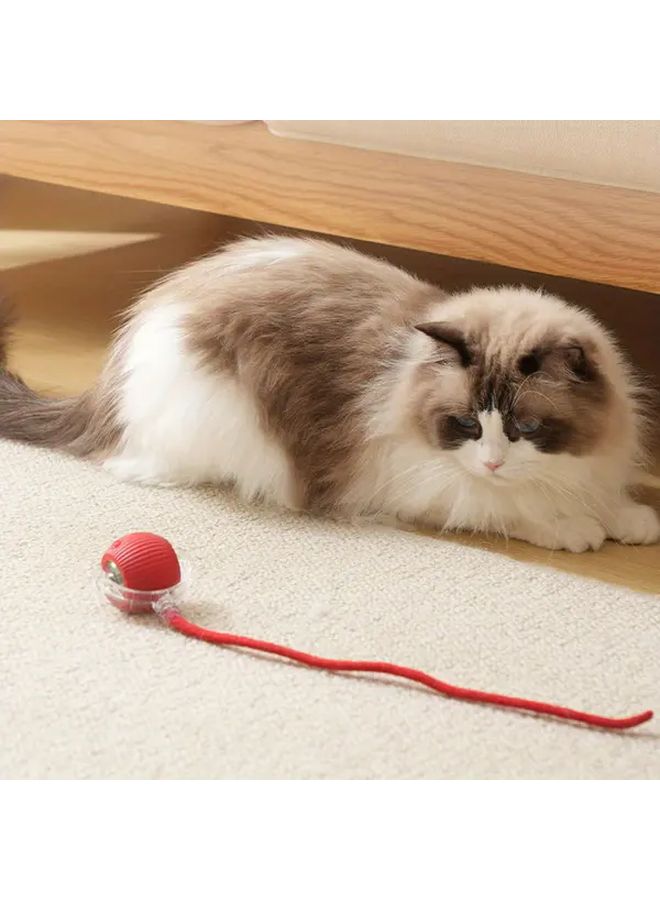كرة أتوماتيكية حمراء متحركة مع أضواء LED وذيل للقطط والكلاب شحن عبر USB - Image 5