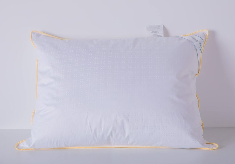 Eastwarmth Goose Down Feather Soft Pillows Queen Size One Pillow 100% Cotton Supportive Cool Bed Pillows for Back Side Stomach Sleepers - Image 1